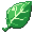 Grass